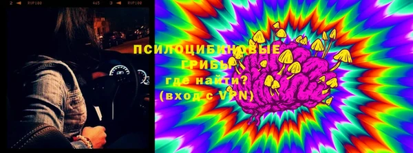 СК Алексеевка