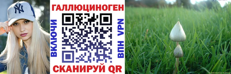 Псилоцибиновые грибы Magic Shrooms  Солнечногорск 